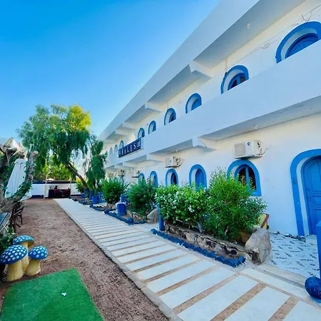 Whales Camp Dahab