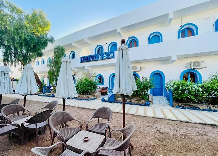 Hotel Whales Camp *