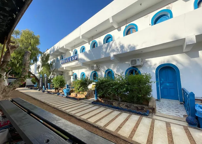 Hotel Whales Camp Dahab