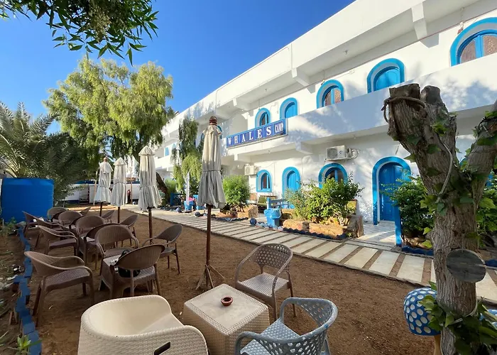 Whales Camp Hotel