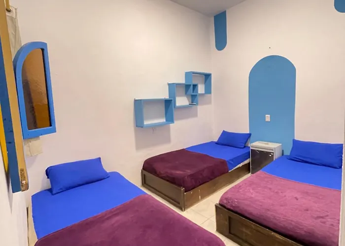 Hotel Whales Camp