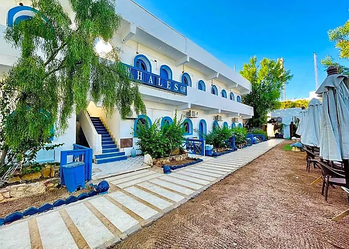 Whales Camp Dahab
