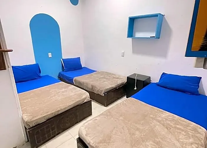 Whales Camp Hotel Dahab