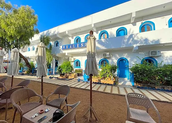 Whales Camp Hotel Dahab