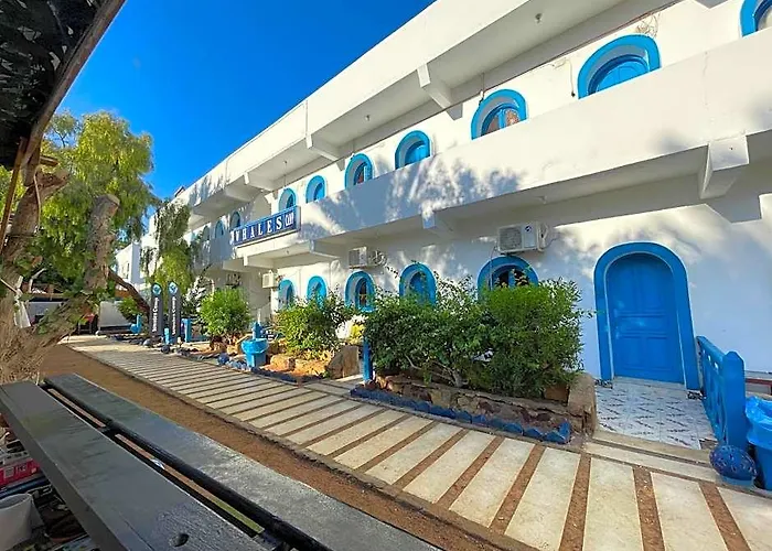 Whales Camp Hotel