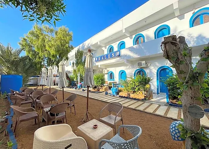 Hotel Whales Camp *