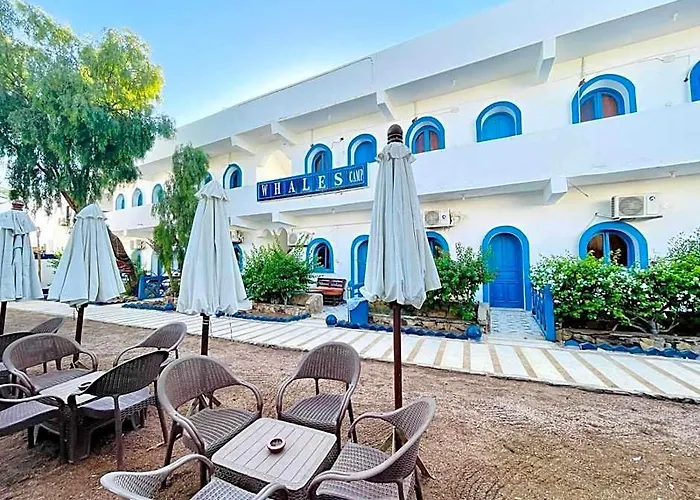Whales Camp Hotel