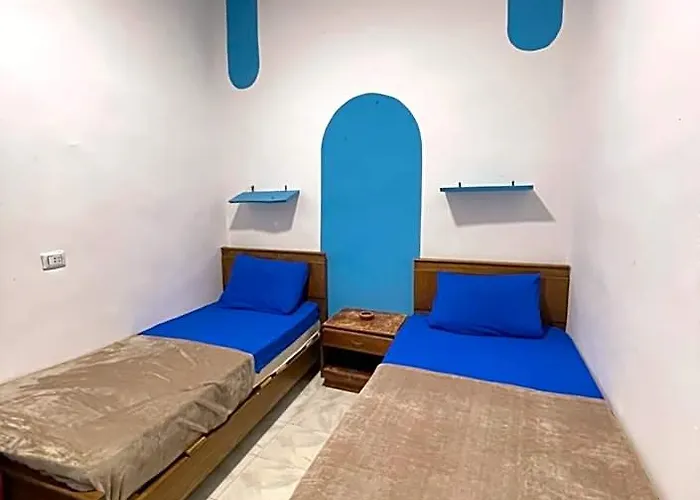 Whales Camp