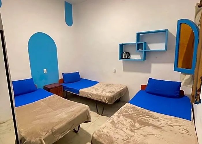 Hotel Whales Camp